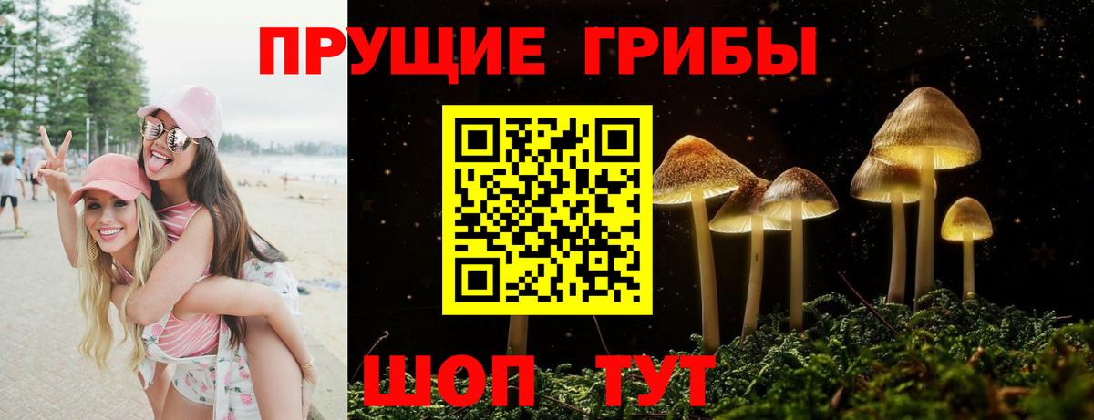 Псилоцибиновые грибы Psilocybe  Вход с VPN  Заречный 
